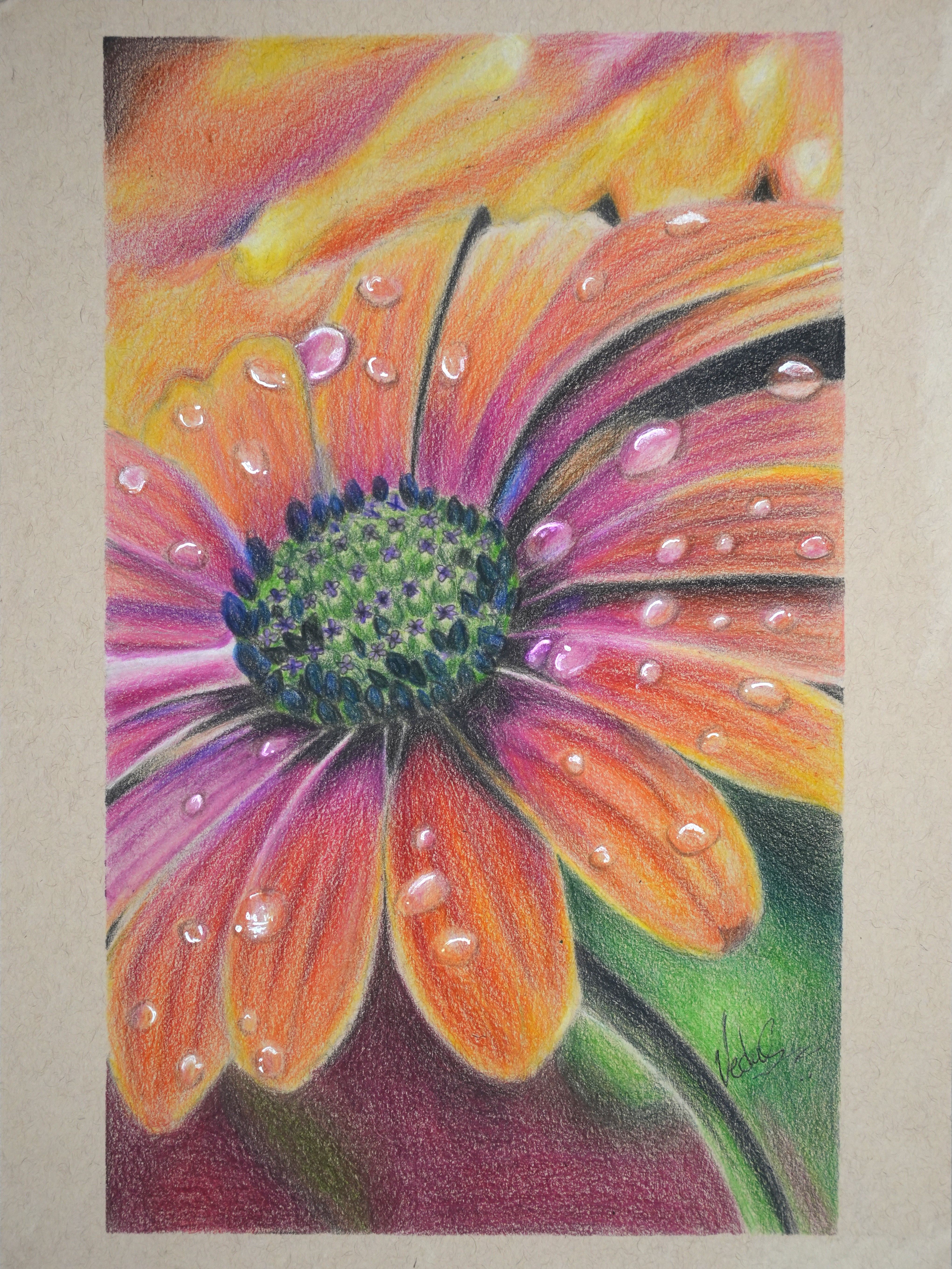 Orange and pink flower with a purple center.